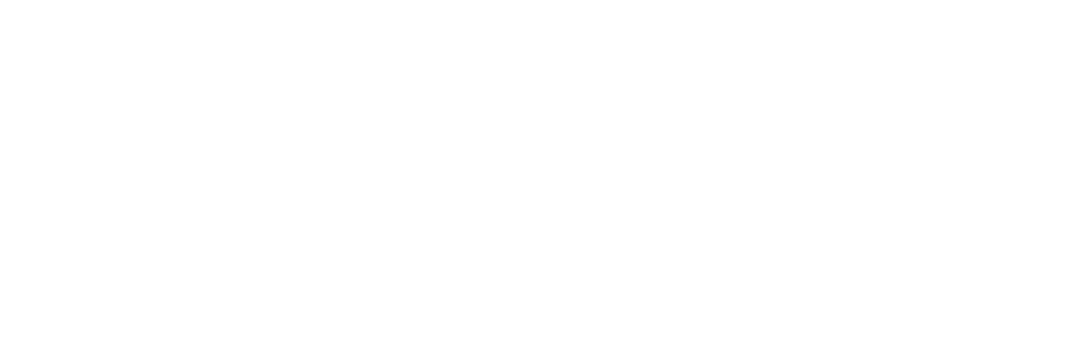Ergon